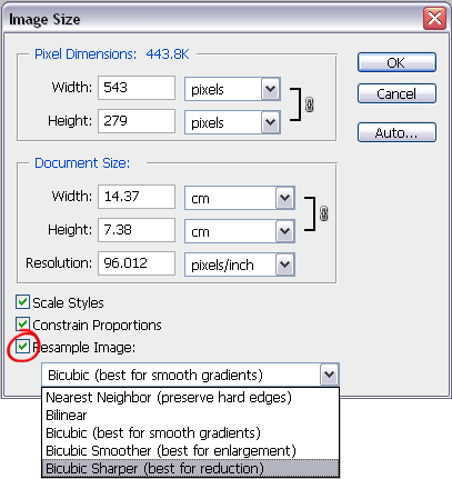 Image Size Dialog