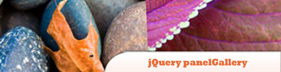 JQuery-panelGallery.jpg