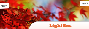 JQuery-lightbox.jpg