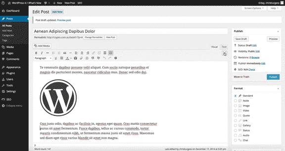 WordPress 4.1 Новая функция «Фокус»