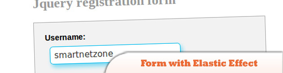 Регистрационная форма с эластичным эффектом