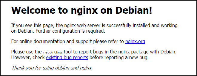 Экран приветствия Debian Nginx