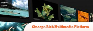 Cincopa-Rich-мультимедиа-Platform2.jpg