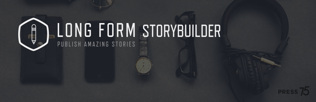 Длинная форма Storybuilder