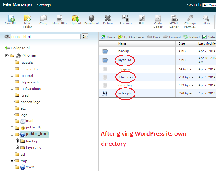 Каталог public_html после перемещения WordPress