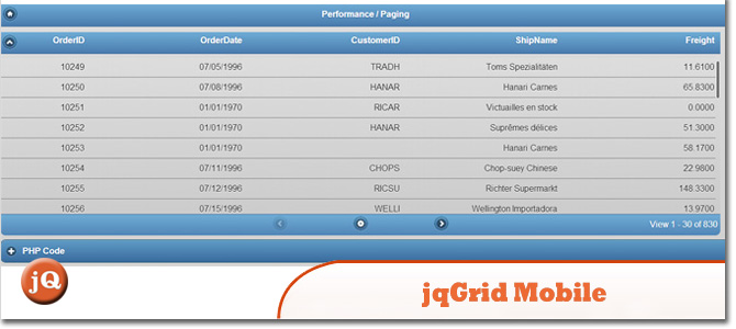 jqGrid-Mobile1.jpg