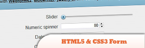 HTML5-CSS3-form.jpg