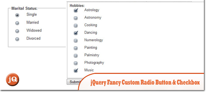 JQuery-Fancy-заказ Радио-Button-Checkbox.jpg