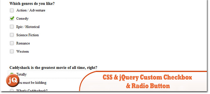 CSS-Jquery-заказ Checkbox-и-Радио-button.jpg