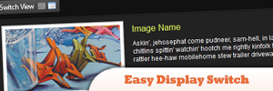 Easy-Display-Switch-с-CSS-и-JQuery-.jpg